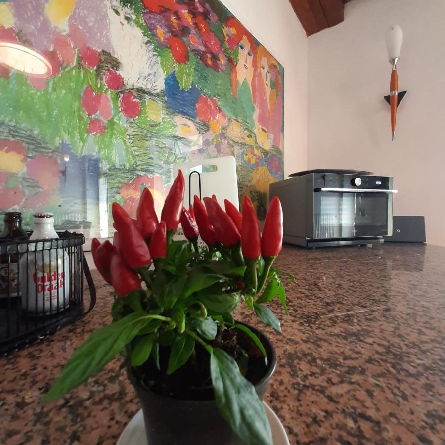 Loft Trabucco - In The Heart Of Salo City Center, Lake View, 4 Rooms 外观 照片